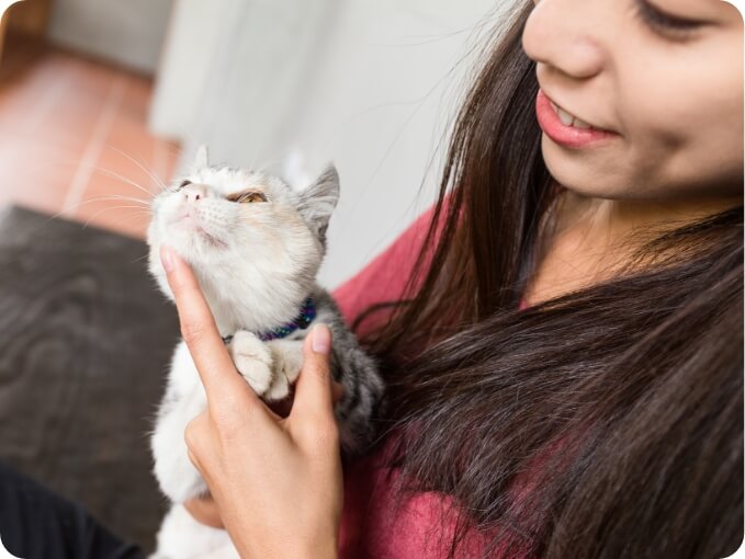 A Woman Pets a Kitten | FRONTLINE® Flea and Tick Protection 
